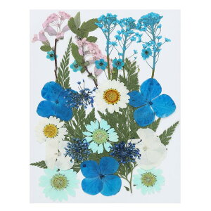 PATIKIL  RԗtA\[g DIYA[gNtg ^ XN bvubLO AWTCX^C