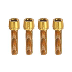 A ABSOPRO ]ԃXeXN[ ŒlW nho[ Xe{g oCNXe lW MTB ]ԗp e[p[{g XN[ M5x20mm \PbgLbv˂ X`[ S [hg[ 4