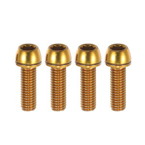 A ABSOPRO ]ԃXeXN[ ŒlW nho[ Xe{g oCNXe lW MTB ]ԗp e[p[{g XN[ M6x20mm \PbgLbv˂ X`[ S [hg[ 4