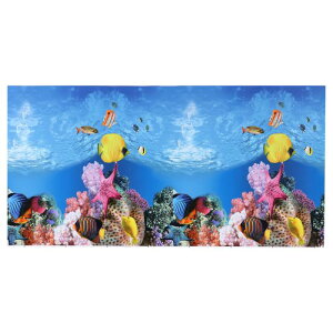 VOCOSTE ق̔wi|X^[  ̔wiXebJ[  82×40cm