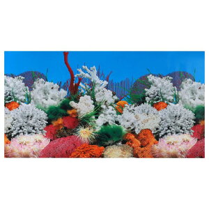 VOCOSTE ق̔wi|X^[  ̔wiXebJ[  PVC 122×60cm