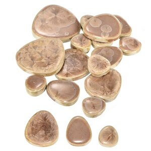 uxcell NtgpZ~bNUCN^C100gZbg yuX̋TR[q[Z~bN^C UCNLbgpK[fXebsOXg[Jbvpbh