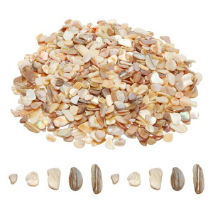 uxcell 500g �ӂ��ꂽ�L�k �s�K���Ȏ��R���U�C�N �V�F���t���O�����g �z�[���f�R���[�V���� �A�[�g�N���t�g DIY�v���W�F�N�g �v���C�}���[�J���[