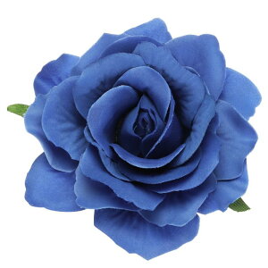 uxcell ỏԂ̃wANbv Ԃ̃wAs Ԃ̃u[` p wAANZT[ 10 cm u[ 1