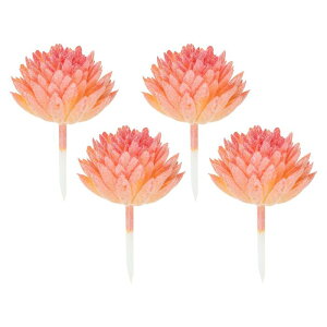 PATIKIL lEݎ 4   ^ UA Ƃ̌iϑ IW