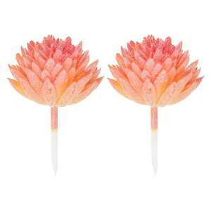 PATIKIL lEݎ 2   ^ UA Ƃ̌iϑ IW