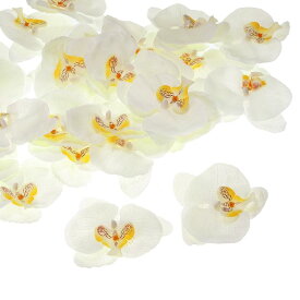 PATIKIL 100 mm 人工的な蘭の花ヘッズ 40個 シルク胡蝶蘭 フェイク胡蝶蘭ヘッズ 結婚式 花束 装飾 DIY クラフト作成用 ホワイト