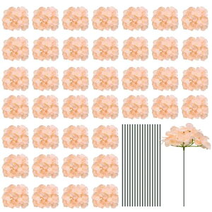 uxcell lHVNAWTCt[ lHIȃt[Ywbh Xet tAWTCt[ ̃Z^[s[X p[eB[̑p sN 30Zbg