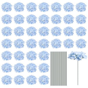 uxcell lHVNAWTCt[ lHIȃt[Ywbh Xet tAWTCt[ ̃Z^[s[X p[eB[̑p Cgu[ 64Zbg