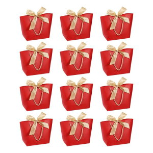 PATIKIL 37cmx11cmx25cm nhtMtgobO 12 Ȏ̍DӃobO{tVbsOobO a zf[ p[eB[ p bh