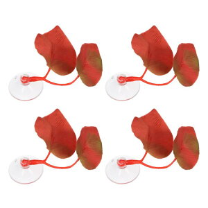 VOCOSTE zՕtx^tBbV[tpbh x^xbh[tnbN x \̑ bh 6.5x4.5 cm 4