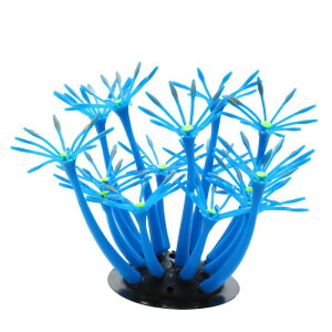 VOCOSTE ANAEV~[VTSЂ܂ VR[ uTS O[I[ig ̕i 6x10 cm u[