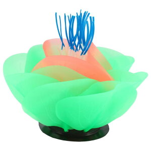 VOCOSTE ANAEV~[VTS VR[ uTS O[I[ig ̕i 