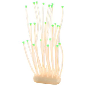 VOCOSTE ANAEV~[VTSEj VR[ uTS O[I[ig ̕i IW