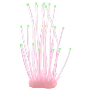 VOCOSTE ANAEV~[VTSEj VR[ uTS O[I[ig ̕i sN