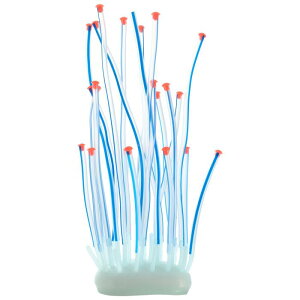 VOCOSTE ANAEV~[VTSEj VR[ uTS O[I[ig ̕i u[