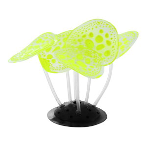 VOCOSTE ANAEV~[VTS VR[ uTS O[I[ig ̕i 6x8 cm 