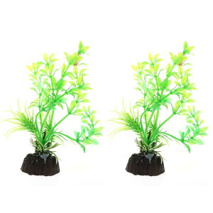 VOCOSTE كvX`bNA lH  iϐAp 2 O[ 10 cm