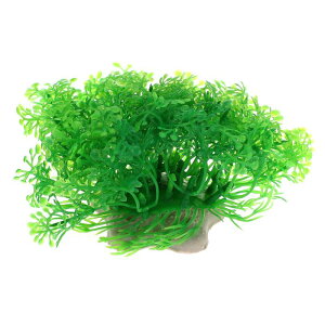 VOCOSTE lHكOX{[  vX`bN ^ iσV~[VAp 1 O[ 6.5x12.5 cm