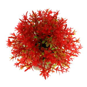 VOCOSTE lHكOX{[  vX`bN ^ iσV~[VAp 1 O[ bh 9.5x9.5 cm