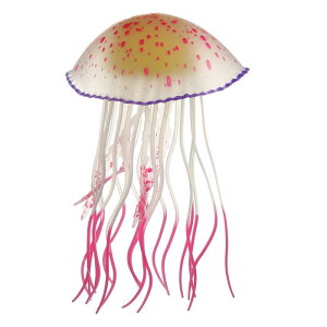 VOCOSTE NQfR[V VR[ uNQ O[I[ig ق̑ zՕt sN 6.5x11.5 cm