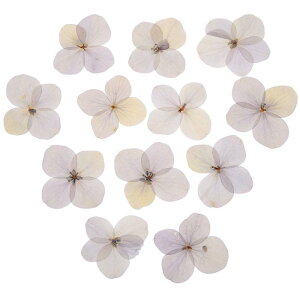 PATIKIL  WDIYNtgp48Zbg lCA[g J[h XNb vubLO ΃CLO   LhfR[V sN p[v