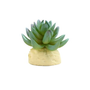 uxcell lH ANAE  fR[V x[Xt vX`bN O[ 7.5×7.5×8cm