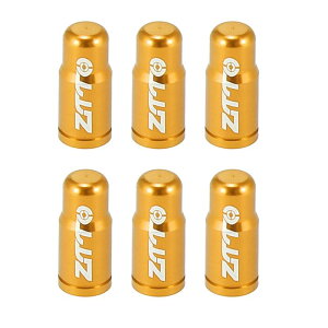 X AUTOHAUX ouLbvtXou^C_XgJo[ ]ԃ}EeoCN[hoCNMTBp A~jE S[hg[ 6