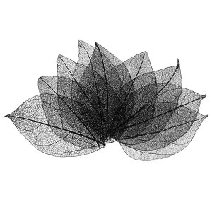 M METERXITY 200pbÑXPg[tAVRSc[̊tAW/DIYNtgJ[h/XN bvubN/EFfBOpAȗt̑[4-6cmA]