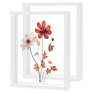 M METERXITY 2�p�b�N�̖ؐ��v���X�t�����[�t���[���A6 x 8�C���`�̃_�u���A�N���������s�N�`���[�t���[���A�h���C�t�����[/�e�[�u���g�b�v/DIY/��|�p[�z���C�g]