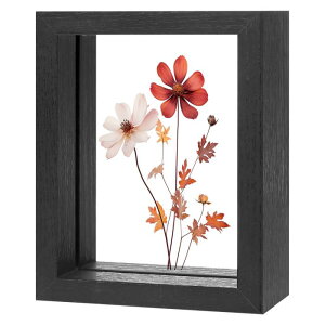 M METERXITY �ؐ��v���X�h�t�����[�t���[���A3 x 4�C���`�̃_�u���A�N���������s�N�`���[�t���[���A�h���C�t�����[/�e�[�u���g�b�v/DIY/��|�p[��]