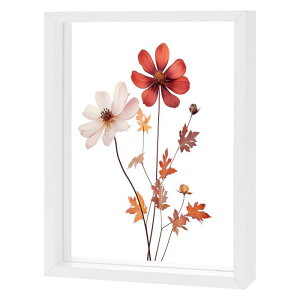 M METERXITY �ؐ��v���X�h�t�����[�t���[���A6 x 8�C���`�̃_�u���A�N���������t���[���A�h���C�t�����[/�e�[�u���g�b�v/DIY/��|�p�y�z���C�g�z