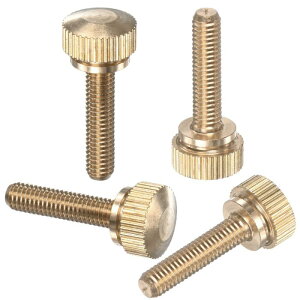 M METERXITY 4���� �m�u�t��M5x20mm �ő̐^�J�ۓ��l�W �V�����_�[���̓t�@�X�i�[�t���A�C�O���X�l�W/PC�R���s���[�^�p �l�W�ł� �T���X�N�����[�X���b�h�j�[�h���`�b�v