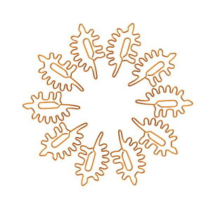 GLIDESMOOTH y[p[Nbv Nbv  ubN}[N ސ/ҏ/t/莆/p [ ItBX  FLx X^Cl ItBXpi 10Zbg  IWF