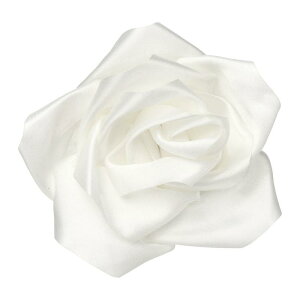 uxcell ỏԃu[`ƃsA4.3C`̉Ԃ̃y sApEFfBOp[eB[_XhXX[cߗރANZT[΃MtgiX^C2 zCgj