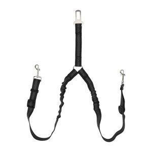 CAPASTEC _uhbOV[gxgAiC̃fAybgJ[wbhXgXgCgZ[teBV[gxgAȂhbO[hf[eB[GXeBbNoW[p