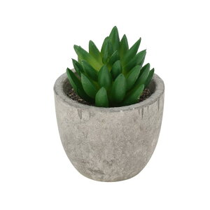 CAPASTEC tFCNO[ CeAO[ A lH bsv  ~j A  킢  fXN oX[ Lb` Type 4