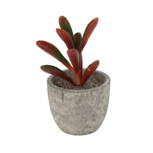 CAPASTEC tFCNO[ CeAO[ A lH bsv  ~j A  킢  fXN oX[ Lb` Type 1