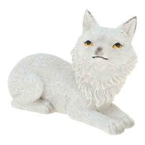 RENEWREVITAL K[fjO u K[fI[ig ̒u  IuWF O  ~    