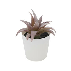 CAPASTEC tFCNO[ CeAO[ A lH bsv  ~j A fR[V   fXN oX[ Lb` Type 6