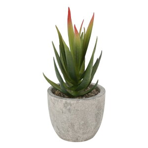 CAPASTEC tFCNO[ CeAO[ A lH bsv  ~j A  킢  fXN oX[ Lb` Type 6