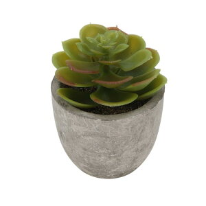 CAPASTEC tFCNO[ CeAO[ A lH bsv  ~j A  킢  fXN oX[ Lb` Type 2