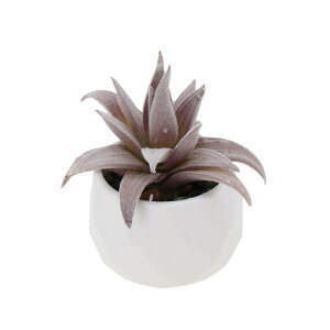 CAPASTEC tFCNO[ CeAO[ A lH bsv  A  킢  fXN oX[ Lb` Type 7