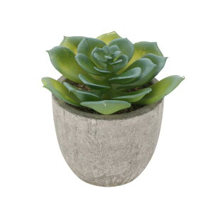 CAPASTEC tFCNO[ CeAO[ A lH bsv  ~j A  킢  fXN oX[ Lb` Type 9