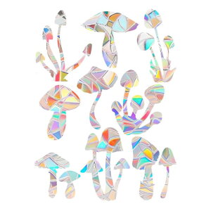 RENEWREVITAL TLb`[ XebJ[ p vY   V[ KX ɓ ȋԂÂ 1Zbg LmR