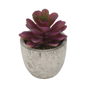 CAPASTEC tFCNO[ CeAO[ A lH bsv  ~j A fR[V   fXN oX[ Lb` Type 10