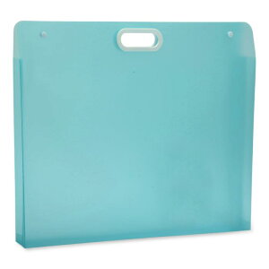 CAPASTEC A[g|[gtHItH_[APPA[g|[gtHIW/nhAhA[g[P[XAOXPb`ʐ^pA44x35.5cmAu[