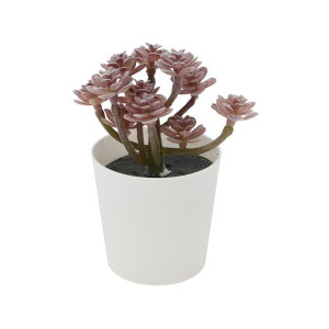 CAPASTEC tFCNO[ CeAO[ A lH bsv  ~j A fR[V   fXN oX[ Lb` Type 9