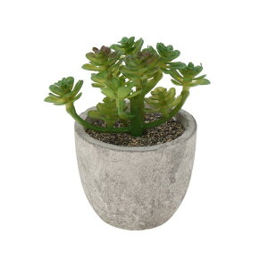 CAPASTEC tFCNO[ CeAO[ A lH bsv  ~j A fR[V  킢  fXN oX[ Lb` Type 7