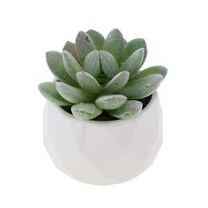 CAPASTEC tFCNO[ CeAO[ A lH bsv  ~j A fR[V 킢  fXN oX[ Lb` Type 1